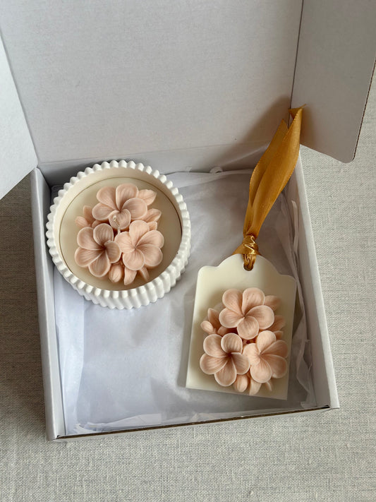 Coffret Hortênsia